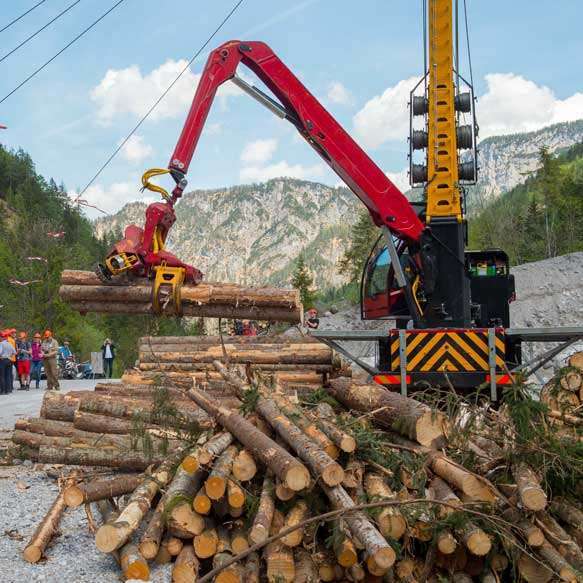 Forestry and recycling cranes 